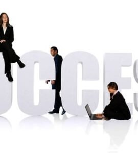 IT Project Success