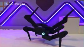 Dancing robotic spider video goes viral