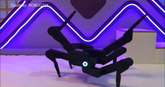 Dancing robotic spider video goes viral