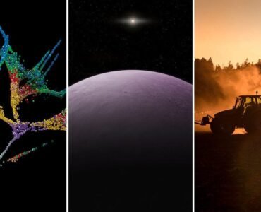 Top stories: 2018’s top breakthrough, our solar system’s most distant dweller, and pushback on USDA relocation plans | Science