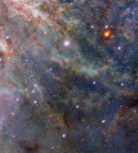 Hubble Captures a Tarantula