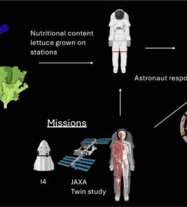 Lettuce Find Healthy Space Food! Citizen Scientists Study Space Salads