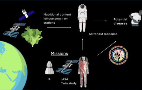 Lettuce Find Healthy Space Food! Citizen Scientists Study Space Salads