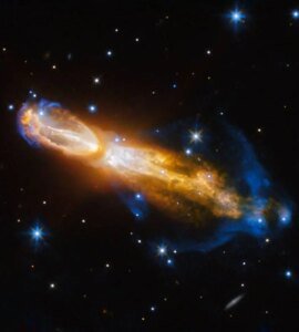 A Rare Gourd - NASA