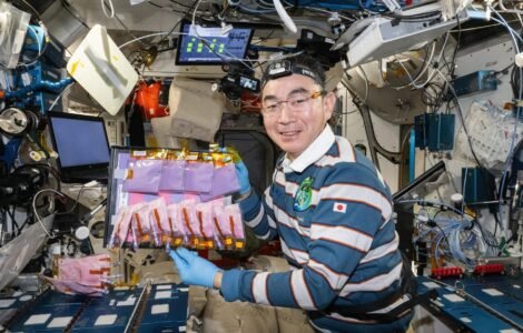 NASA Study to Analyze Fermented Food Samples from Space