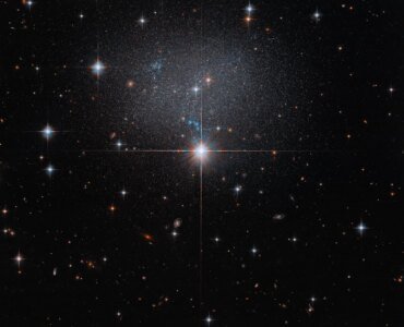 Hubble Spies Faint Irregular Galaxy