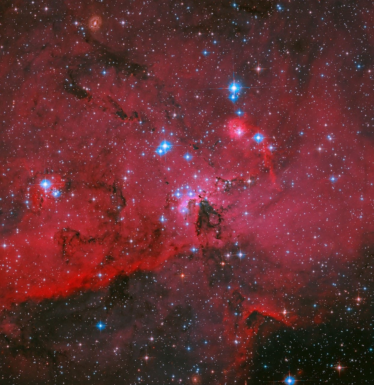 NASA's Hubble Captures Crimson Cloud Sparkling with White, Blue Stars