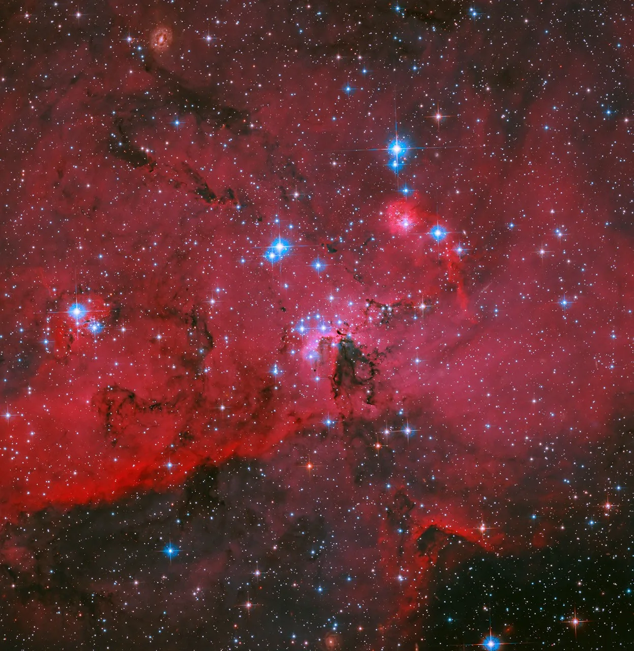 NASA's Hubble Captures Crimson Cloud Sparkling with White, Blue Stars